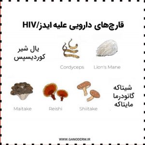 قارچ‌های دارویی برای HIV