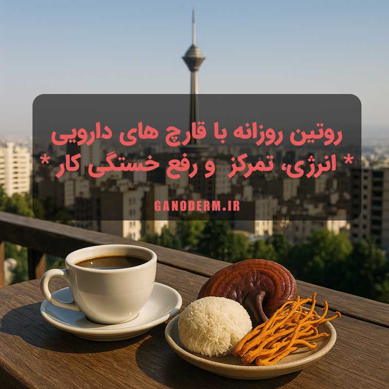 روتین روزانه با قارچ‌ های دارویی: انرژی، تمرکز و رفع خستگی