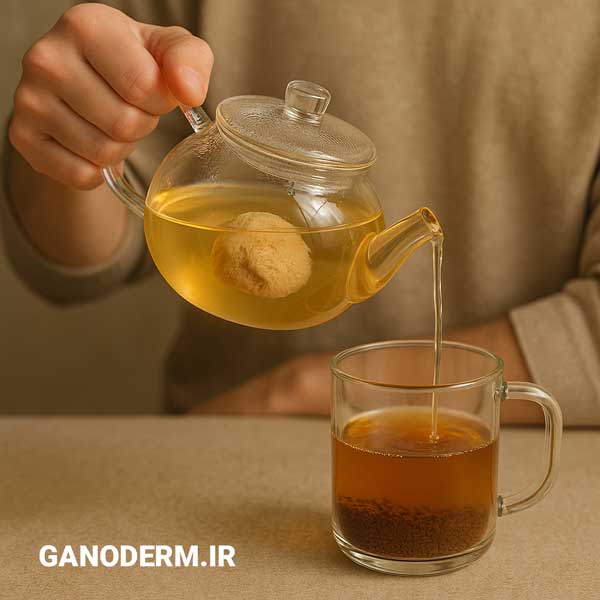 یال شیر و قهوه